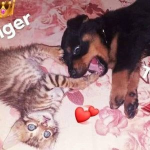 Meet your Posher, Carmen